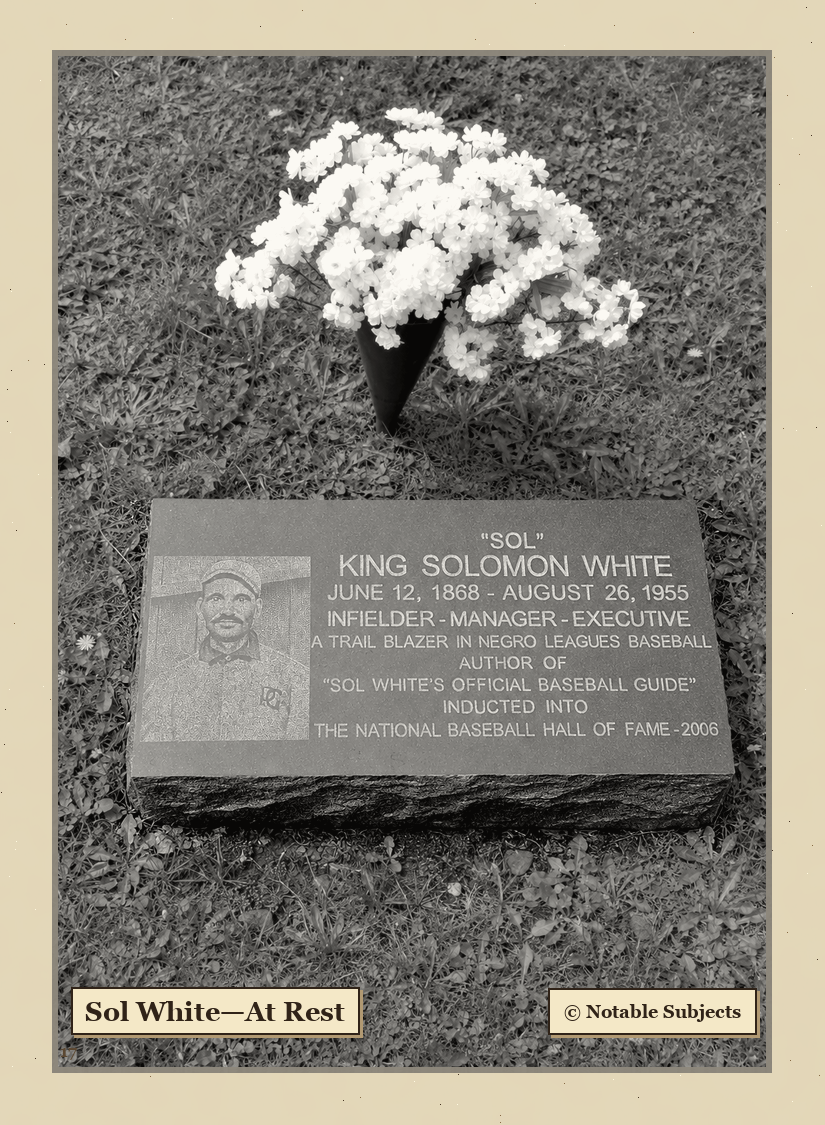 17A — King Solomon White